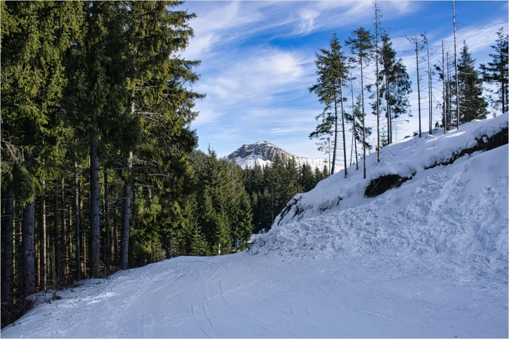 Detail Langlaufen Im Winterwald Spur Im Schnee Number 19