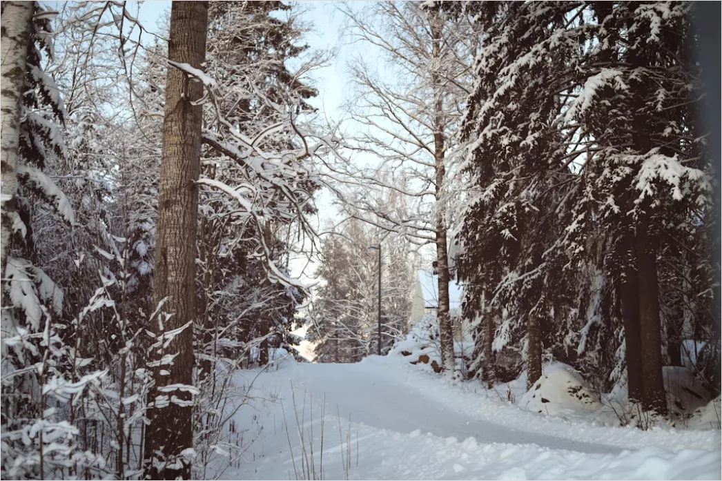 Detail Langlaufen Im Winterwald Spur Im Schnee Number 5