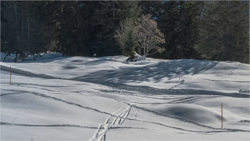 Detail Langlaufen Im Winterwald Spur Im Schnee Number 8