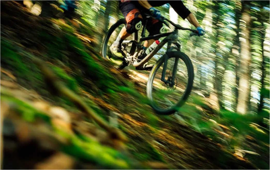 Mountainbike Trail Im Wald Dynamische Perspektive 7dca