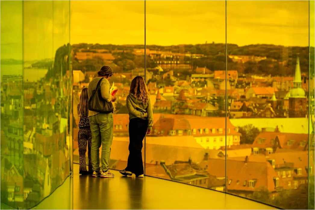 Detail Museum Vitrinen Mit Artefakten Reflektionsfreies Glas Foto Number 9