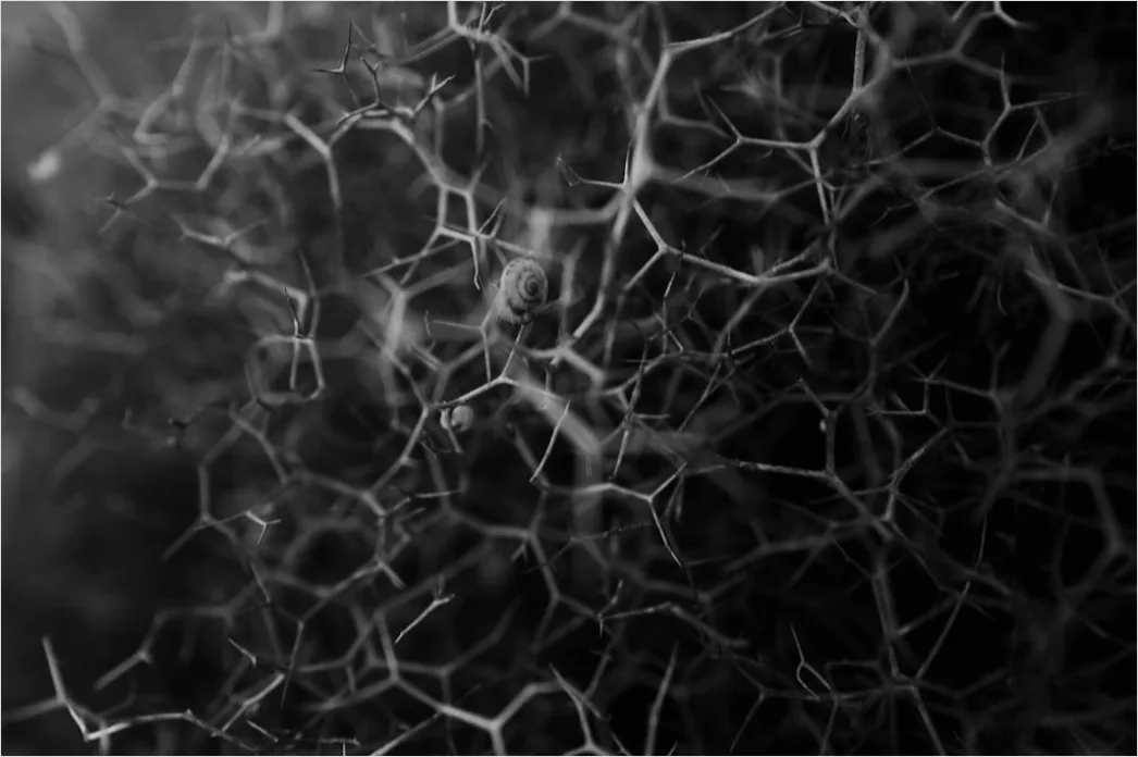 Detail Nanotechnologie Mikrostruktur Abstrakt Muster Hintergrund Bild Number 10