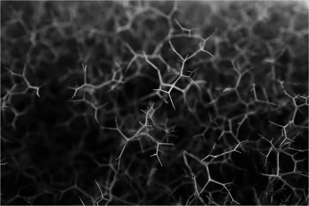 Detail Nanotechnologie Mikrostruktur Abstrakt Muster Hintergrund Bild Number 4