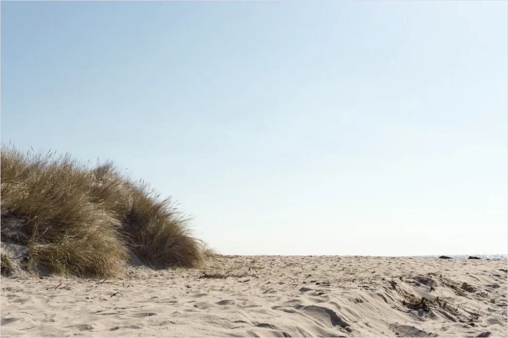 Ostsee Strand Mit Duenen Und Strandgras Windig 2c31