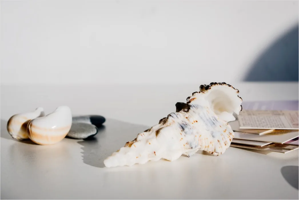 Detail Reise Souvenir Magnete Tickets Und Muscheln Flat Lay Number 5