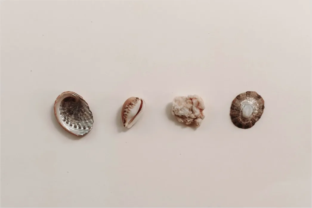 Detail Reise Souvenir Magnete Tickets Und Muscheln Flat Lay Number 6