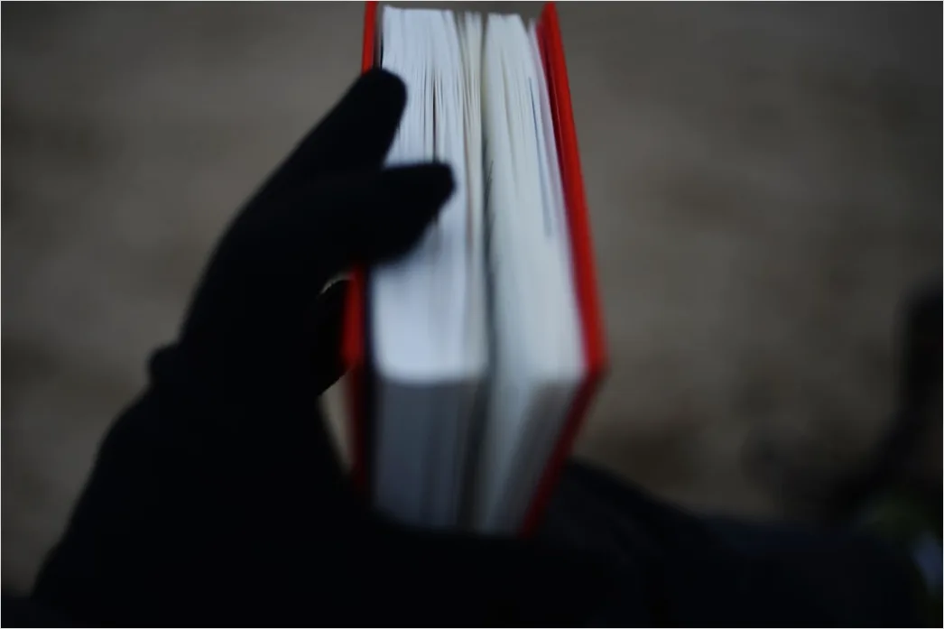 Detail Reiseführer Buch In Der Hand Vor Monument Number 15