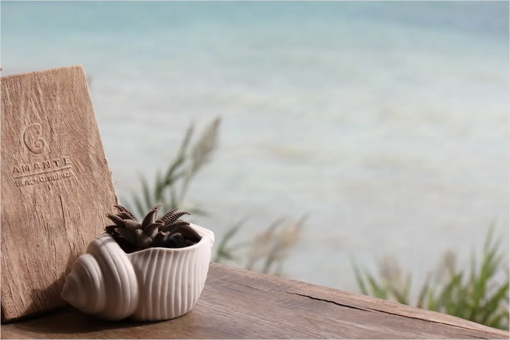 Reisetagebuch Schreiben Am Strand Mit Kaffee C36a