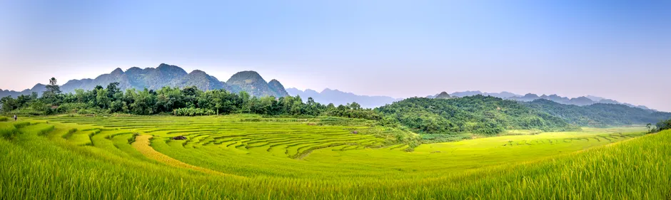 Reisfeld Terrassenlandschaft Asien Panorama 412e