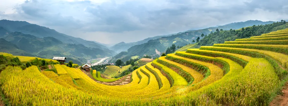 Detail Reisfeld Terrassenlandschaft Asien Panorama Number 12