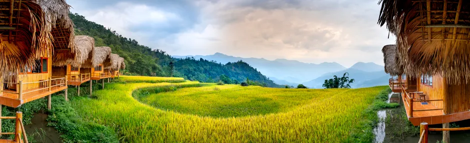 Detail Reisfeld Terrassenlandschaft Asien Panorama Number 20