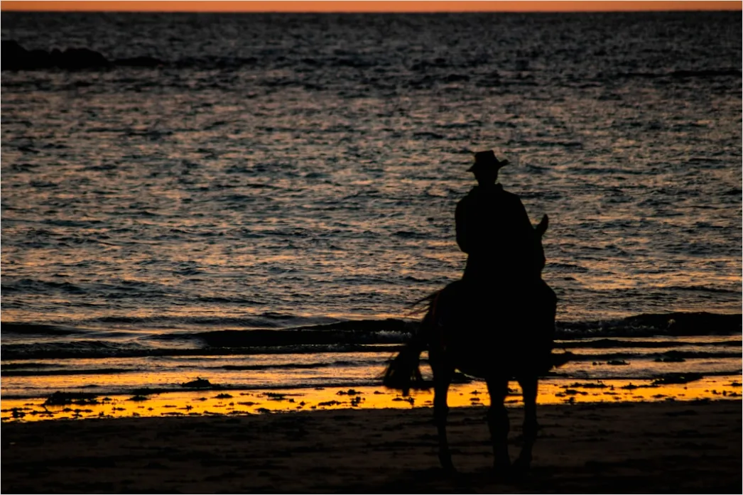Detail Reitausflug Am Strand Pferd Silhouette Number 12