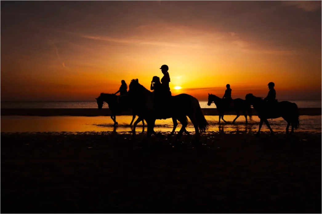 Detail Reitausflug Am Strand Pferd Silhouette Number 18