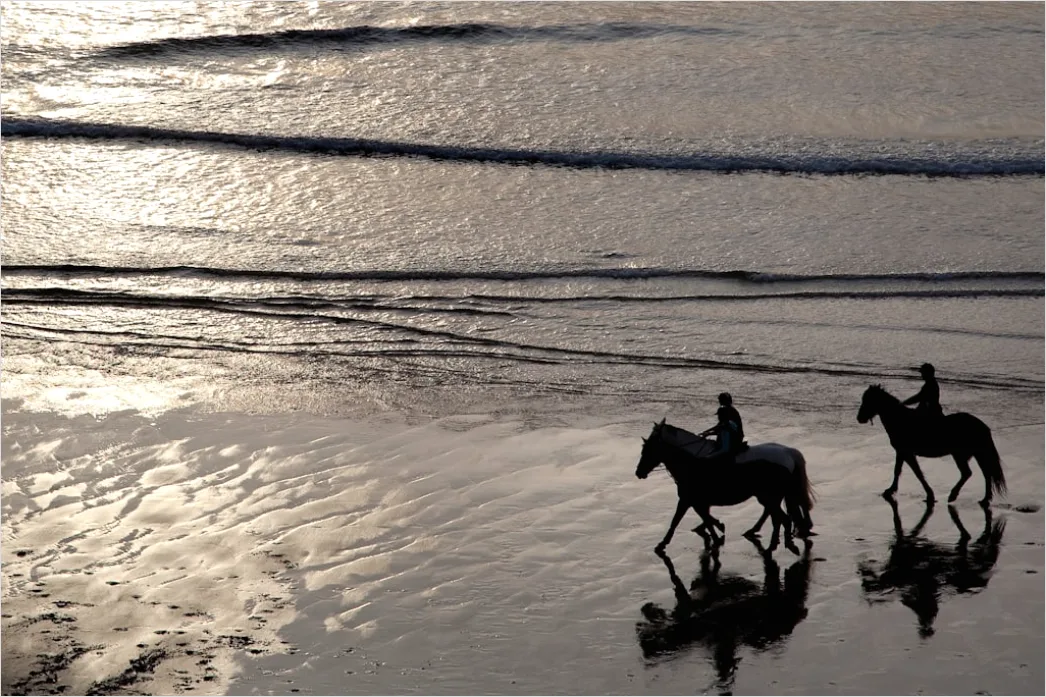 Detail Reitausflug Am Strand Pferd Silhouette Number 4