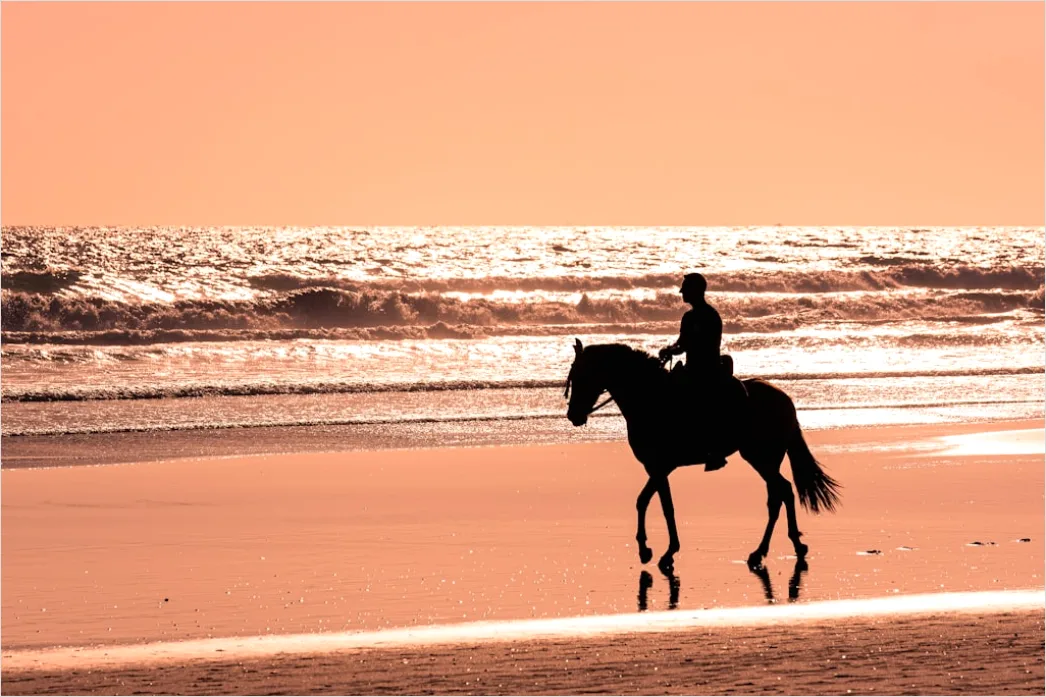 Detail Reitausflug Am Strand Pferd Silhouette Number 6