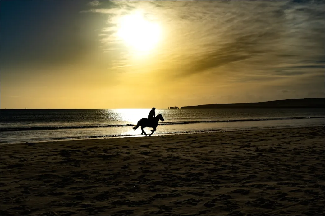 Detail Reitausflug Am Strand Pferd Silhouette Number 9
