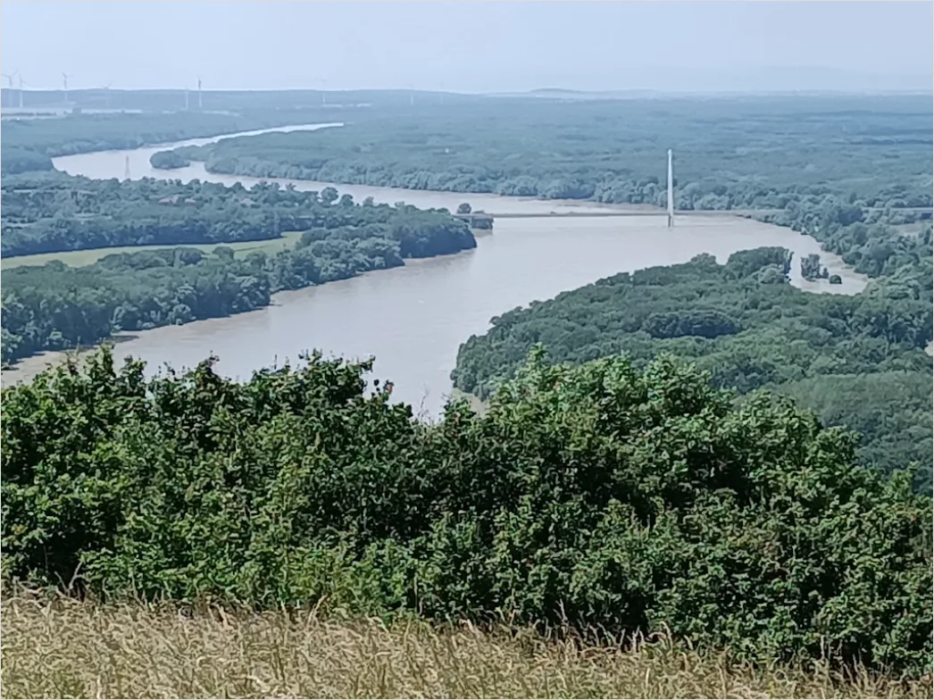 Detail Rheinsteig Wanderweg über Dem Rhein Panorama Number 12