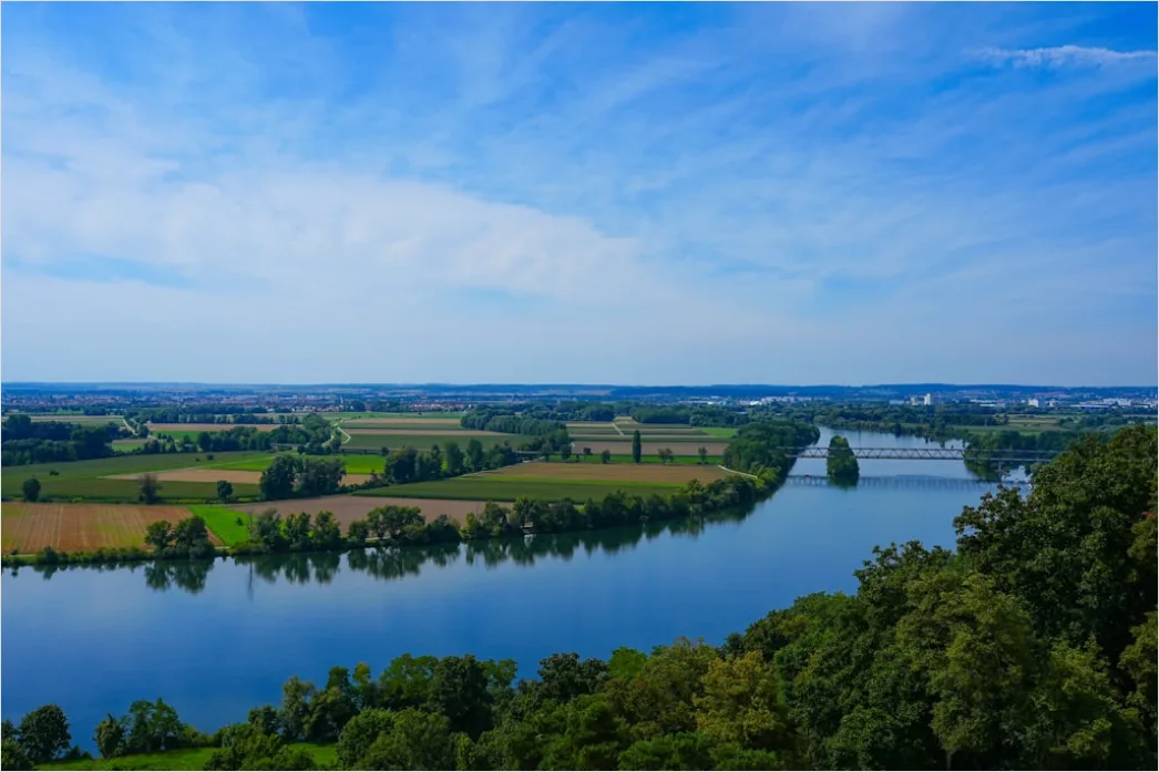 Detail Rheinsteig Wanderweg über Dem Rhein Panorama Number 16