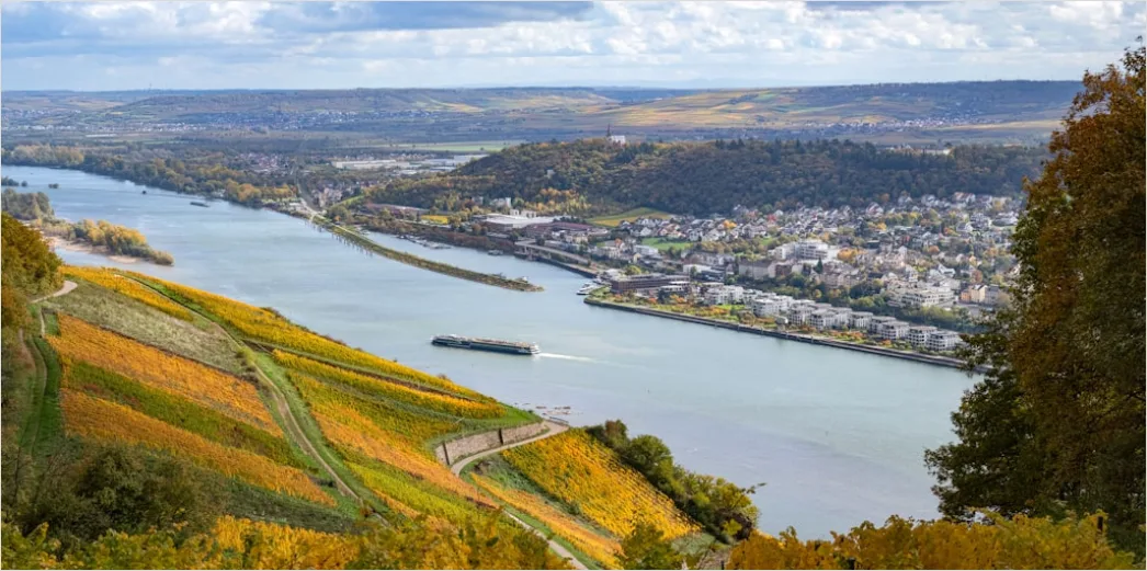 Detail Rheinsteig Wanderweg über Dem Rhein Panorama Number 4