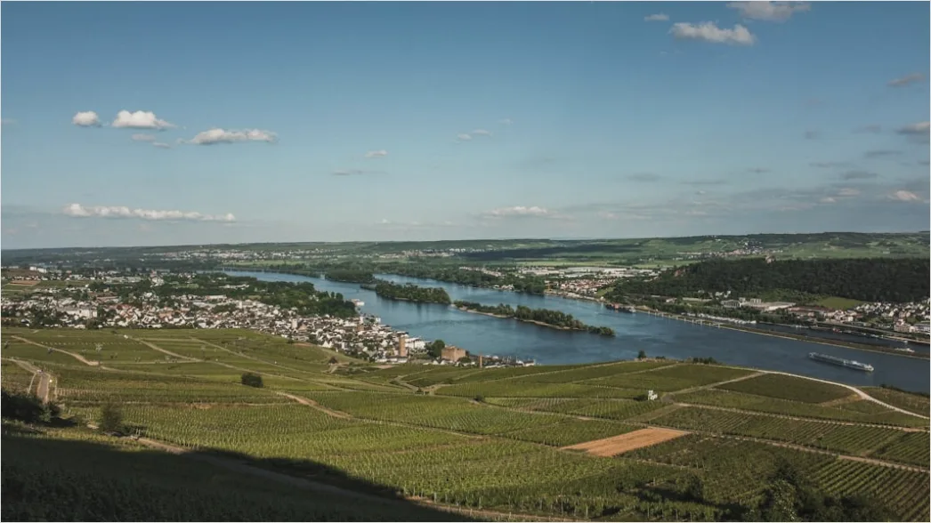 Detail Rheinsteig Wanderweg über Dem Rhein Panorama Number 6