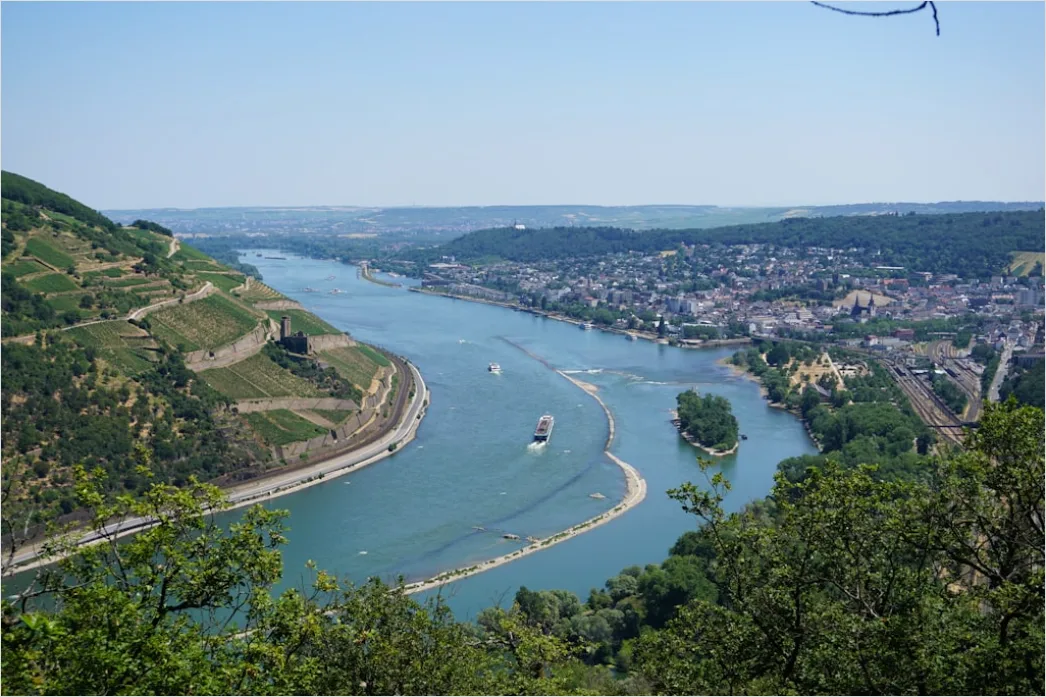 Detail Rheinsteig Wanderweg über Dem Rhein Panorama Number 7