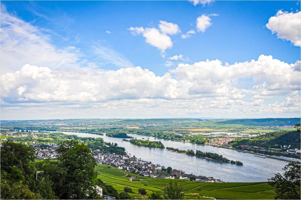 Detail Rheinsteig Wanderweg über Dem Rhein Panorama Number 8