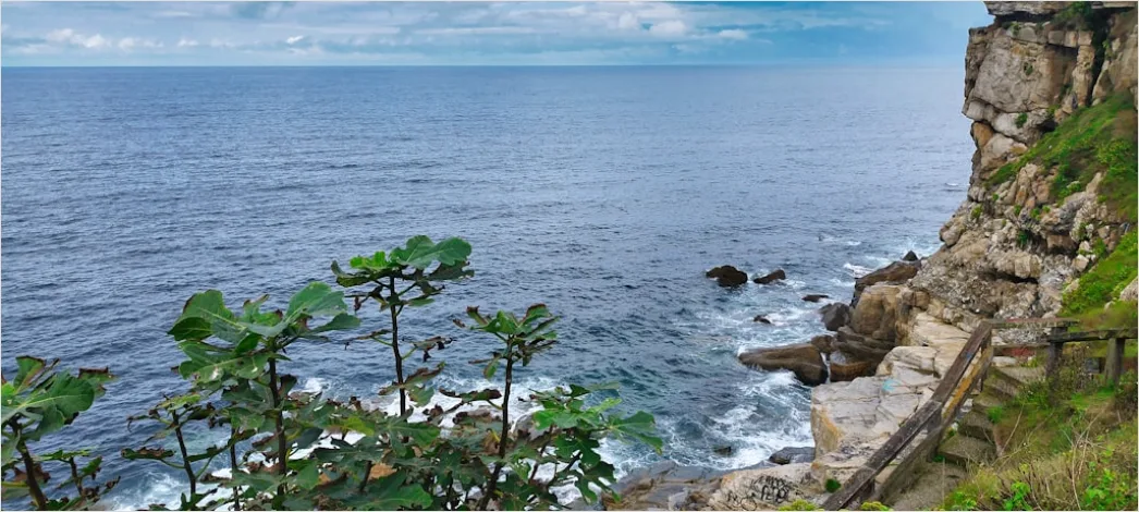 Detail Rügen Kreidefelsen Blick Aufs Meer Panorama Number 20