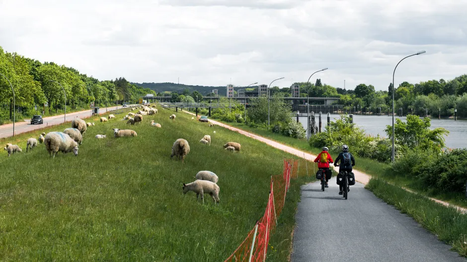 Detail Ruhrtal Radweg Entlang Fluss Landschaft Number 3