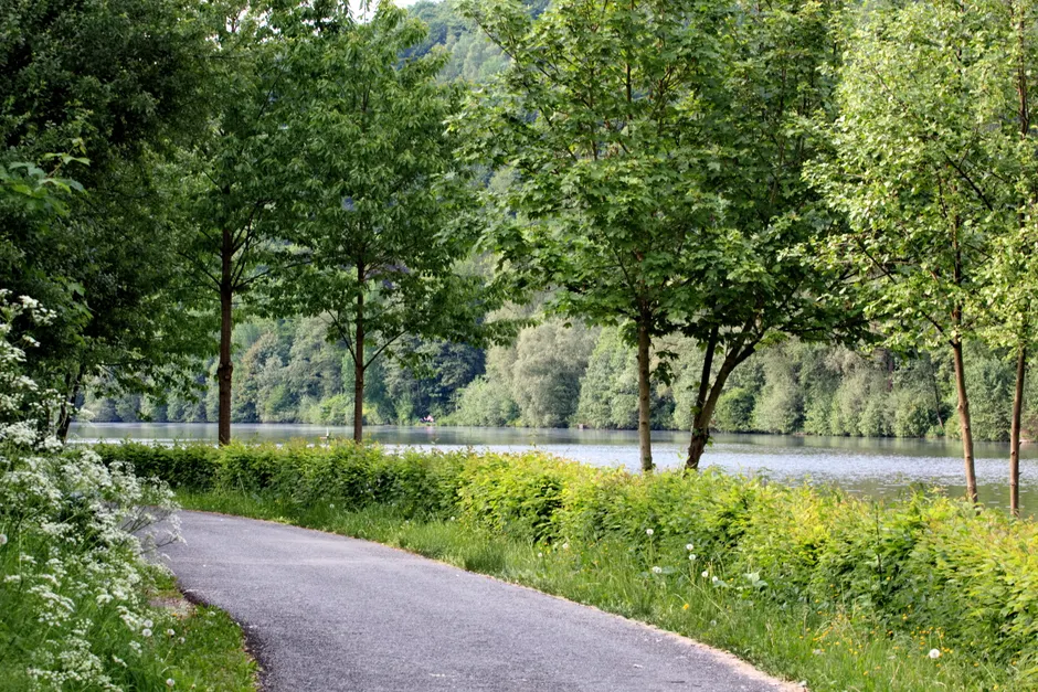 Detail Ruhrtal Radweg Entlang Fluss Landschaft Number 7