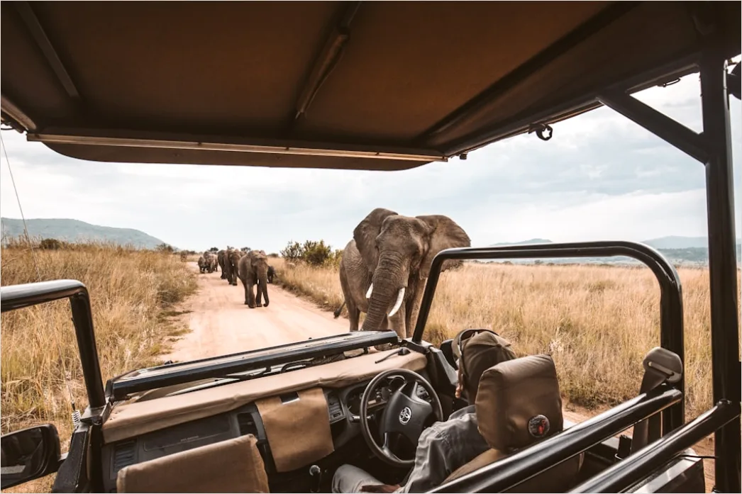 Safari Jeep Staubige Piste Abenteuerreise Ad57