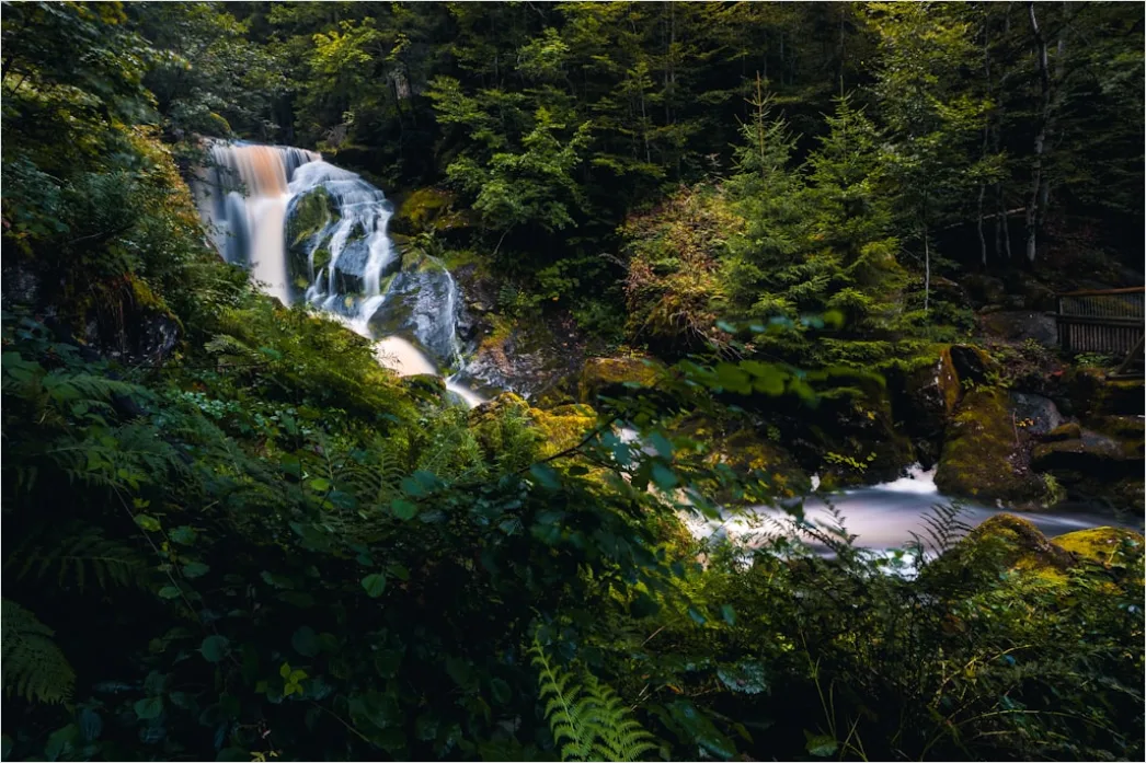 Schwarzwald Wasserfall Moosige Felsen Detail Ec2d