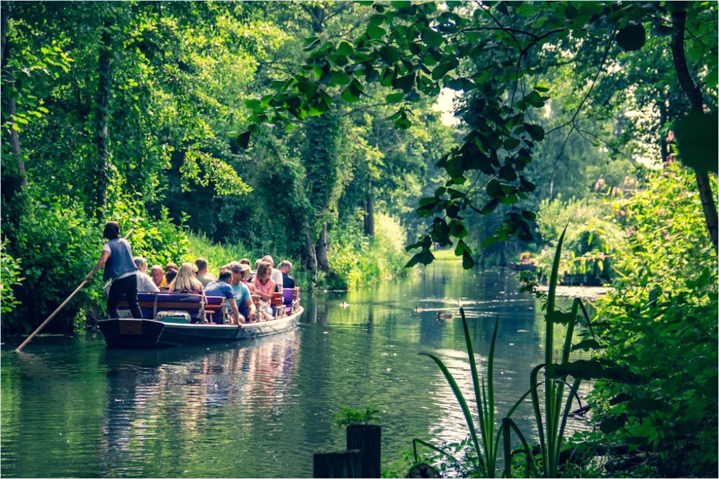Spreewald Kahnfahrt Kanal Und Gruen 543c