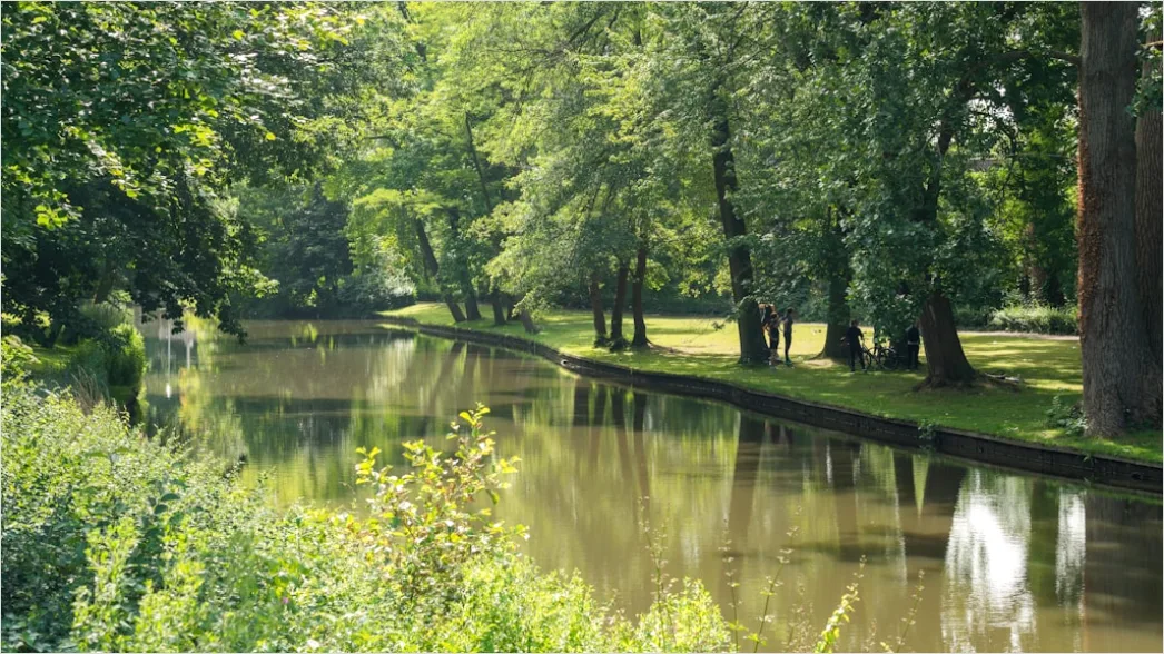 Detail Spreewald Kahnfahrt Kanal Und Grün Number 11