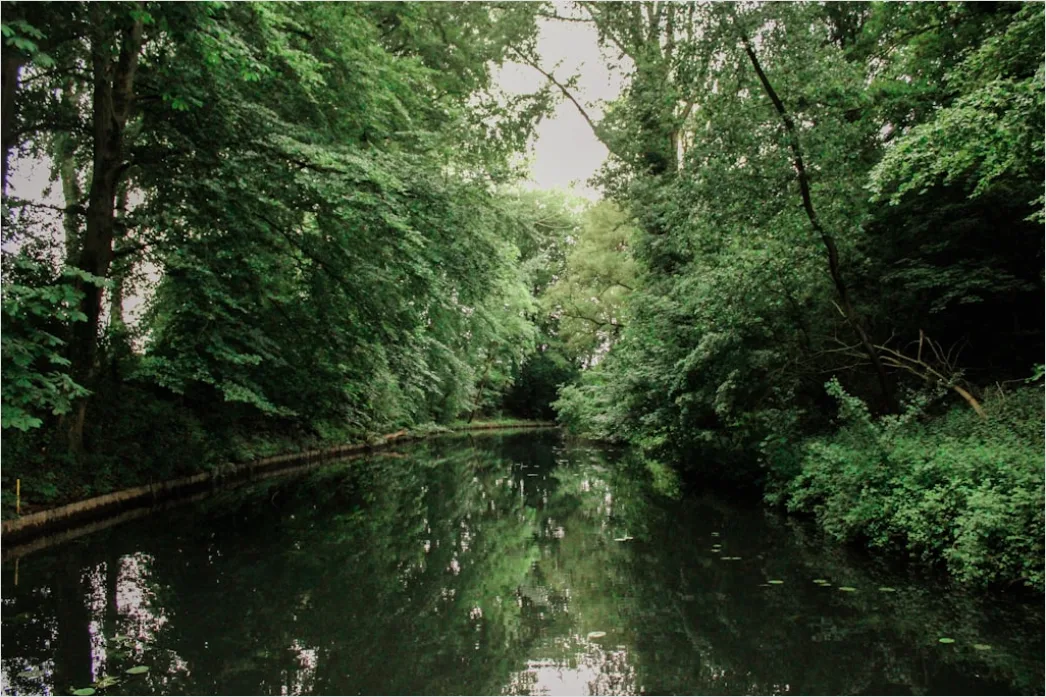Detail Spreewald Kahnfahrt Kanal Und Grün Number 13