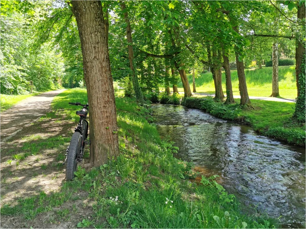 Detail Spreewald Kahnfahrt Kanal Und Grün Number 5
