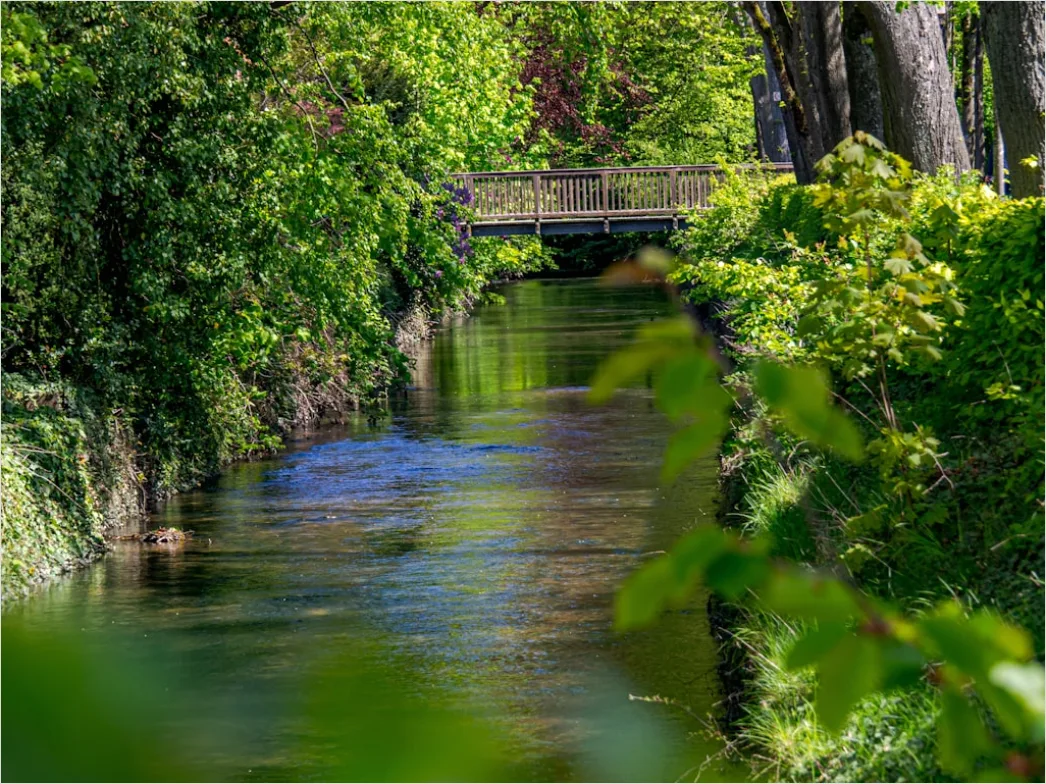 Detail Spreewald Kahnfahrt Kanal Und Grün Number 6