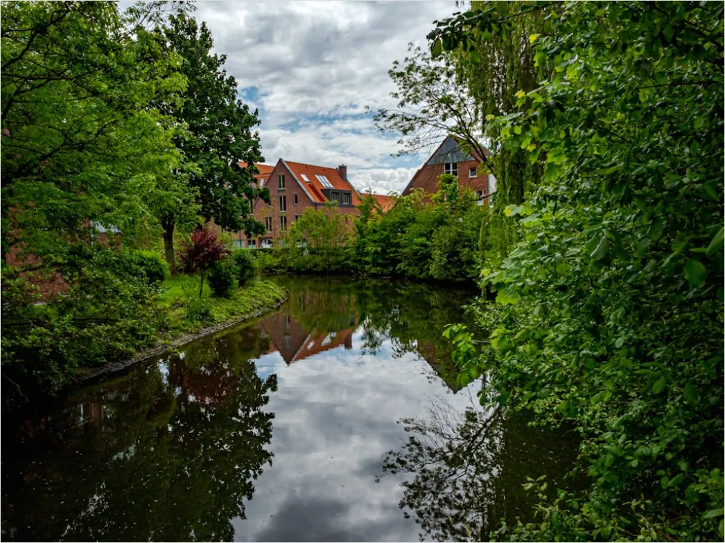Detail Spreewald Kahnfahrt Kanal Und Grün Number 7