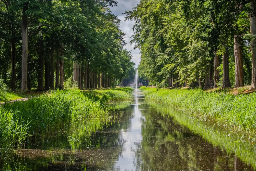 Detail Spreewald Kahnfahrt Kanal Und Grün Number 9