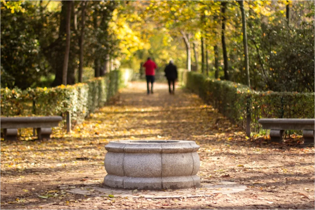 Stadtpark Herbst Laub Und Spaziergaenger A704