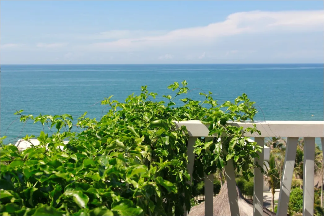 Detail Strandhotel Balkon Blick Aufs Meer Sommer Number 20