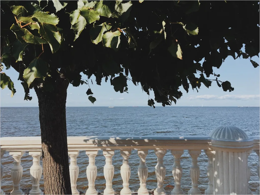 Detail Strandhotel Balkon Blick Aufs Meer Sommer Number 9