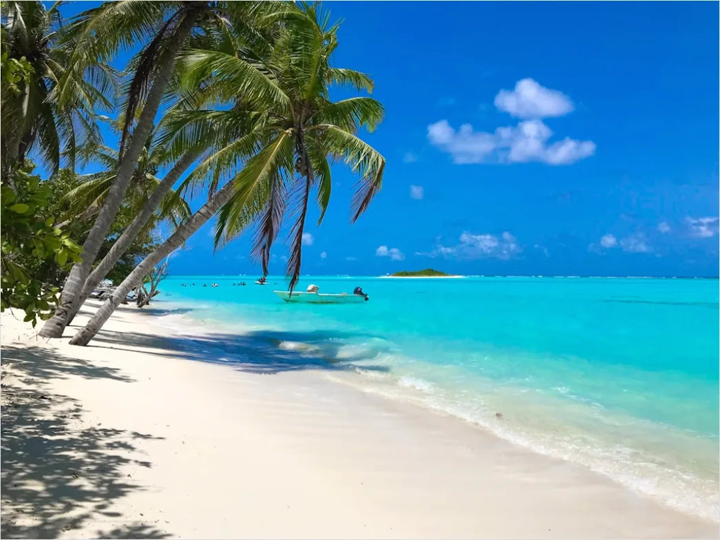Tropischer Strand Palmen Und Tuerkis Wasser D2b3