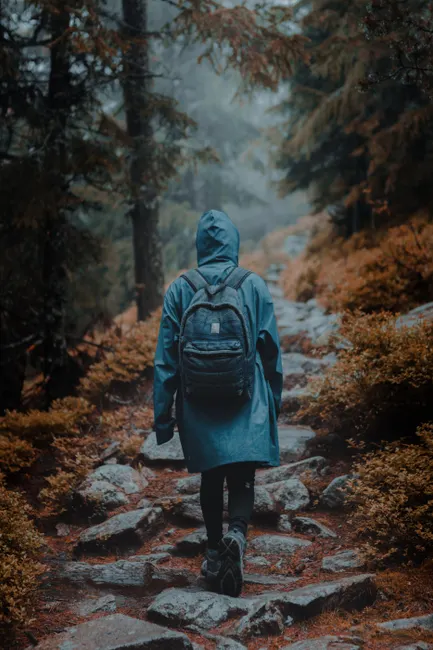 Detail Wanderer Mit Rucksack Auf Bergpfad Von Hinten Number 13
