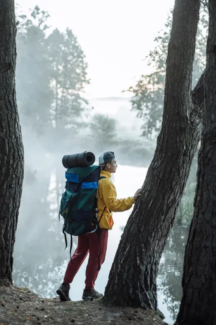Detail Wanderer Mit Rucksack Auf Bergpfad Von Hinten Number 9