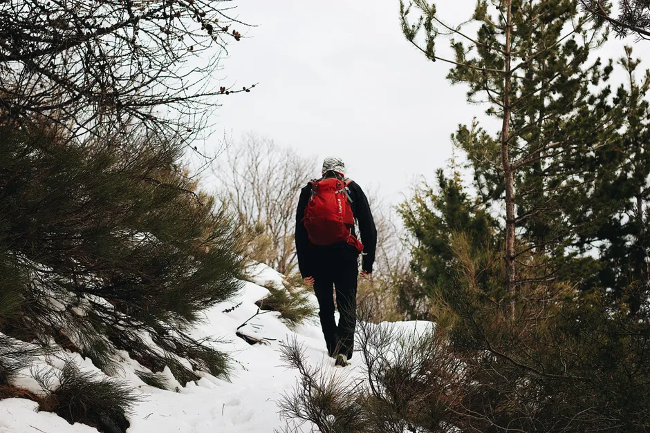Detail Wanderer Mit Rucksack Auf Bergpfad Von Hinten Number 10