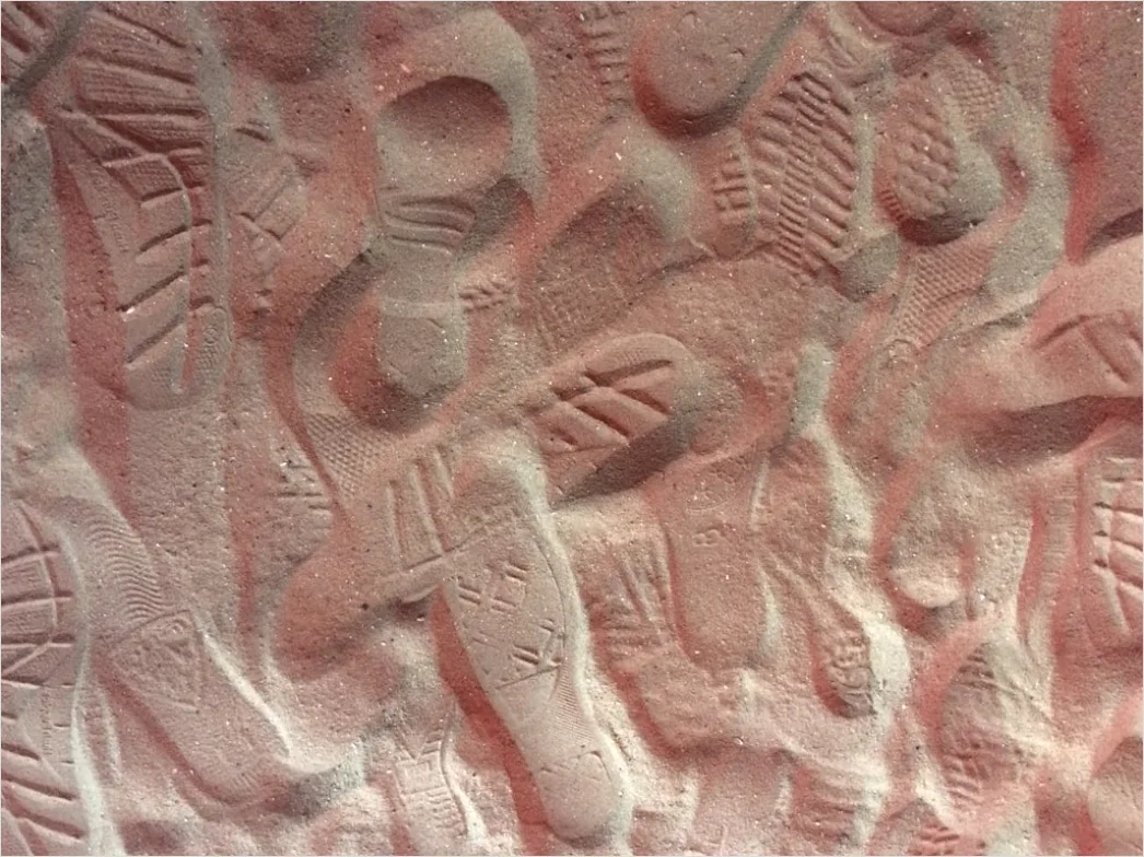 Detail Wanderschuhe Im Schlamm Detail Nahaufnahme Number 18