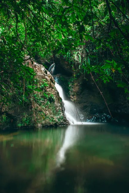 Detail Wasserfall Im Dschungel Tropische Natur Number 13