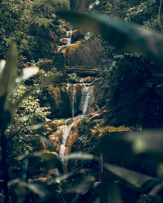 Detail Wasserfall Im Dschungel Tropische Natur Number 14