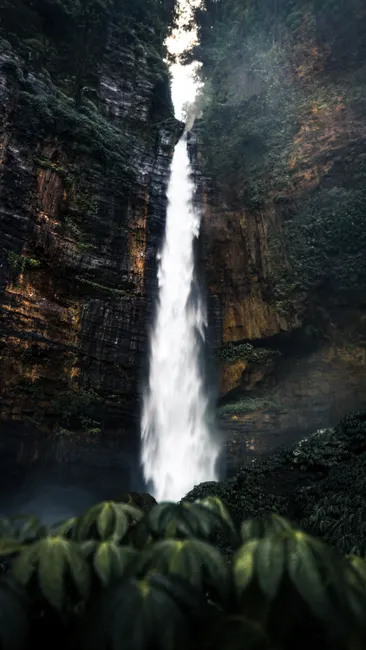 Detail Wasserfall Im Dschungel Tropische Natur Number 15