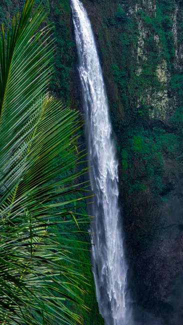 Detail Wasserfall Im Dschungel Tropische Natur Number 16